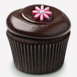 cupcake-personality-03-chocolate-squared-sl