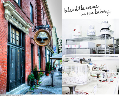 from Cake-ology website